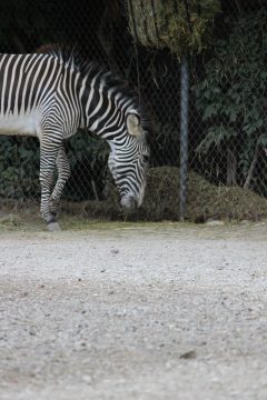 Lori's Pictures 080.JPG