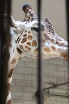 Lori's Pictures 085.JPG