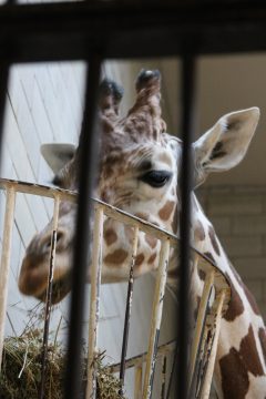 Lori's Pictures 087.JPG