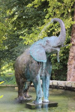 Lori's Pictures 096.JPG