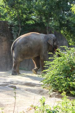 Lori's Pictures 107.JPG