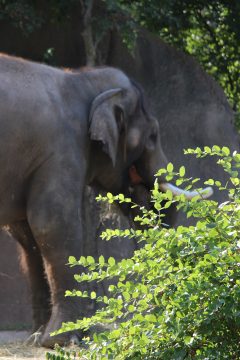 Lori's Pictures 108.JPG