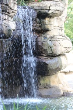 Lori's Pictures 110.JPG