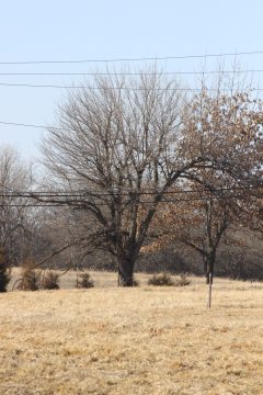 Lori's Pictures 119.JPG