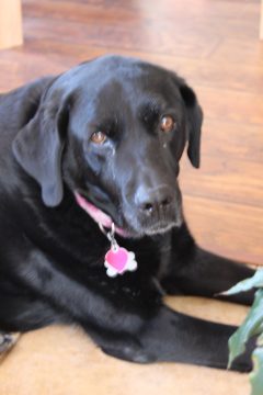 Lori's Pictures 120.JPG