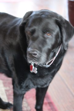 Lori's Pictures 121.JPG