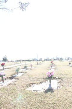 Lori's Pictures 170.JPG