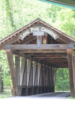 Lori's Pictures 264.JPG