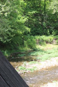 Lori's Pictures 266.JPG