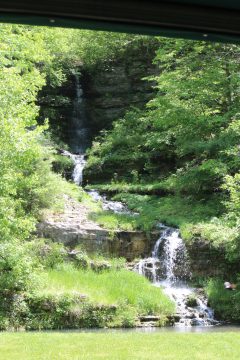 Lori's Pictures 286.JPG