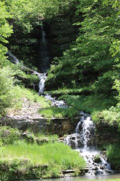 Lori's Pictures 287.JPG