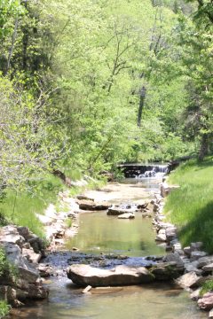 Lori's Pictures 291.JPG