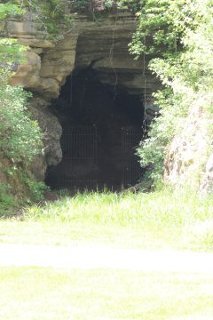 Lori's Pictures 293.JPG