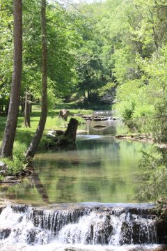 Lori's Pictures 296.JPG