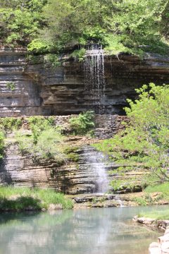 Lori's Pictures 302.JPG