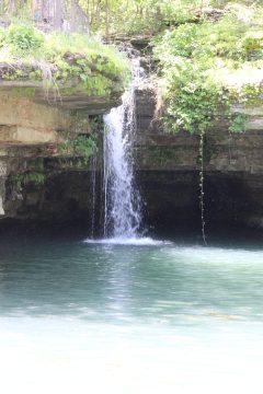 Lori's Pictures 310.JPG