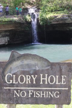 Lori's Pictures 313.JPG