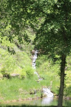 Lori's Pictures 320.JPG