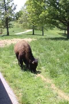 Lori's Pictures 332.JPG