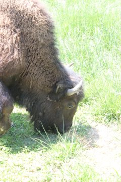 Lori's Pictures 336.JPG