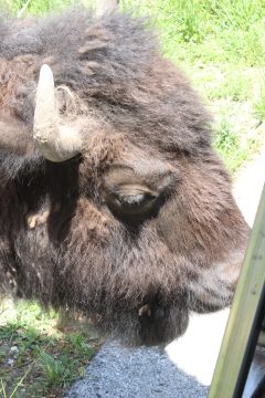 Lori's Pictures 337.JPG