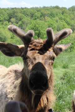 Lori's Pictures 355.JPG