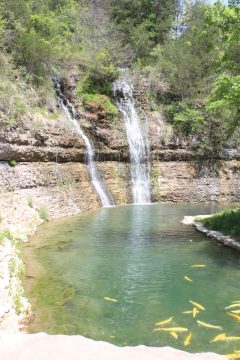 Lori's Pictures 367.JPG