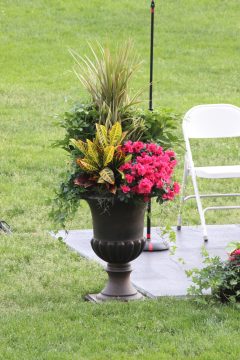 Lori's Pictures 409.JPG