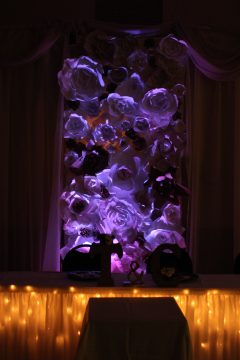 Lori's Pictures 554.JPG