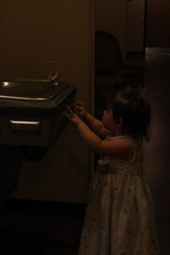 Lori's Pictures 566.JPG