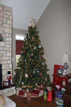 Lori's Pictures 657.JPG