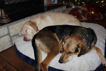 Lori's Pictures 660.JPG