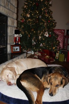 Lori's Pictures 662.JPG