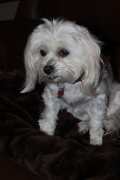 Lori's Pictures 668.JPG