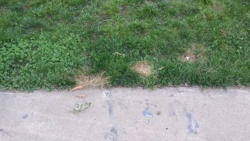 Phone_20150913 757.jpg