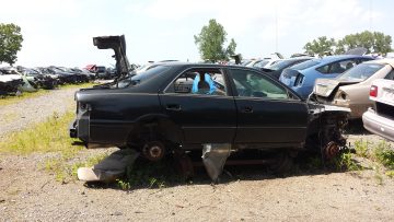 Phone_20150913 775.jpg