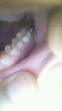 Phone_20150913 795.jpg