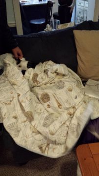 Phone_20150913 072.jpg