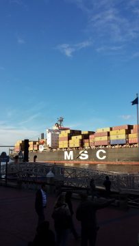 Phone_20150913 096.jpg