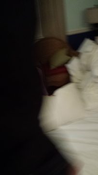 Phone_20150913 109.jpg