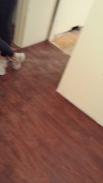 Phone_20150913 149.jpg