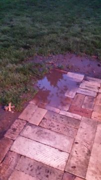 Phone_20150913 303.jpg