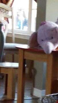 Phone_20150913 428.jpg