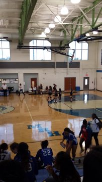 Phone_20150913 430.jpg