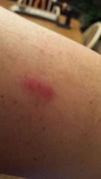 Phone_20150913 465.jpg