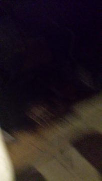 Phone_20150913 466.jpg