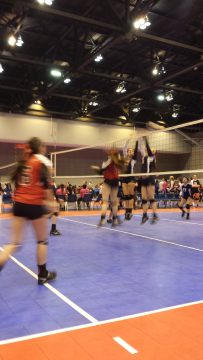 Phone_20150913 526.jpg