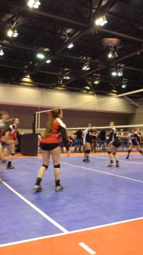 Phone_20150913 527.jpg