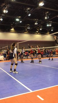 Phone_20150913 532.jpg