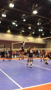 Phone_20150913 534.jpg